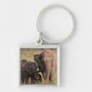 Buscar elefante indio llaveros Animal