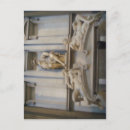 Buscar medici postales Florencia