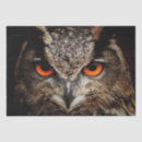 Buscar búho de cuernos Pájaro