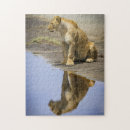 Buscar leones africanos puzzles Animales