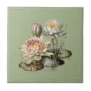 Buscar naturaleza azulejos Agua