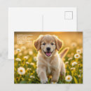 Buscar simbolismo postales Flores