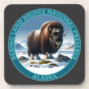 Buscar bering Alaska