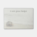 Buscar seashell de la playa Arena