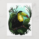 Buscar animales de la selva postales General y unisex