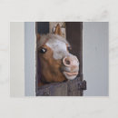 Buscar caballos de carreras postales Estable