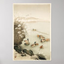 Buscar patos posters Aves