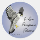 Buscar peregrino pegatinas General y unisex