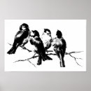 Buscar pájaros negros posters Vintage