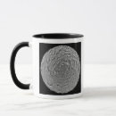 Buscar regiones tazas Mosaico