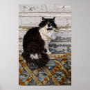 Buscar pelo grande fotografía Gato de pelo largo