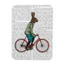 Buscar bici imanes Flores