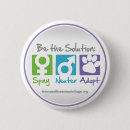 Buscar spay Gatos