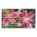 Buscar lilies tarjetas de visita Flores