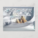 Buscar familia del oso polar postales Ártico