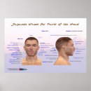 Buscar etiquetado posters Humano