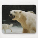Buscar amenazado electronica Oso polar