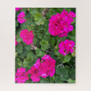 Buscar geranio puzzles Floral