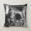 Buscar razas del perro cojines Frenchie