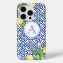 Buscar amalfi iphone fundas Capri