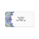 Buscar hydrangea purpura Para todos
