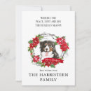 Buscar bernese mountain dog tarjetas Acuarela
