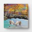 Buscar oso polar placas fotograbadas 6 º pesadilla