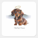 Buscar dachshund pegatinas Salchicha