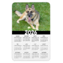 Buscar perro policía imanes Animal