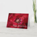 Buscar macros tarjetas Rosa rojo