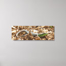 Buscar lagarto lienzos Reptil