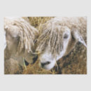 Buscar ovejas papel de seda General y unisex