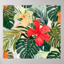 Buscar plantas hawaianas posters Floral