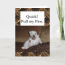 Buscar enchufe feliz tarjetas Terrier
