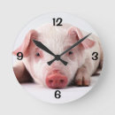 Buscar cerdo relojes de pared Granja