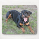 Buscar rottweiler alfombrillas de raton Rottweiller