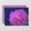 Buscar lush postales Para todos