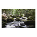 Buscar arroyos posters Agua