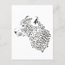 Buscar leopardo blanco y negro postales Safari