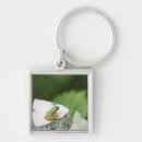 Buscar hydrangea llaveros Naturaleza