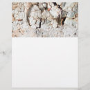 Buscar papel pintado flyers Pintar