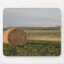 Buscar bala alfombrillas de raton Agricultura