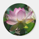 Buscar waterlily imanes Floral
