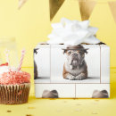 Buscar bulldog papel de regalo General y unisex