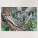 Buscar abrazo de la koala General y unisex