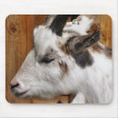 Buscar barba alfombrillas de raton Cabras