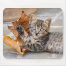 Buscar tabby alfombrillas de raton Divertido