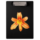 Buscar tiger libretas Naranja