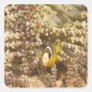 Buscar sealife pegatinas Criaturas del sealife