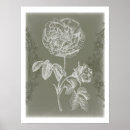 Buscar alivio posters Floral